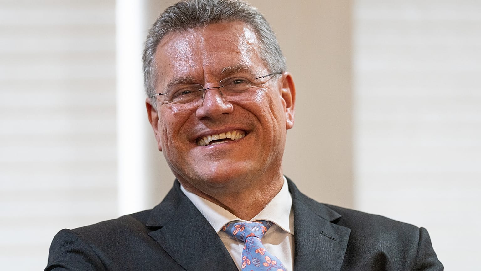 Maroš Šefčovič in India