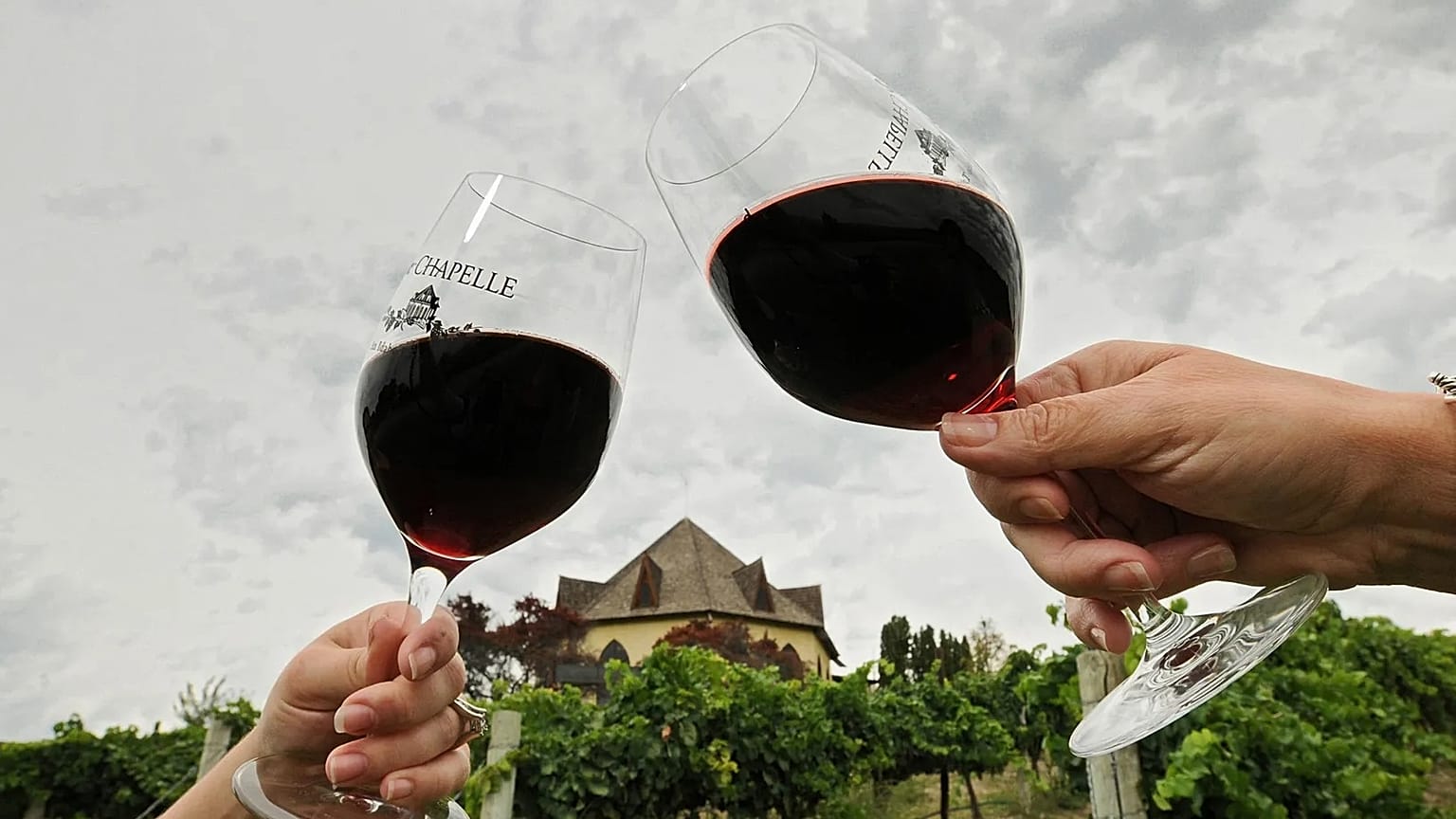 FILE. people hold wine glasses containing 2012 Cabernet Sauvignon at Sunnyslope's Ste. Chapelle Winery in Caldwell, Idaho. 14 July 2016.