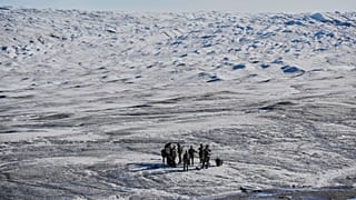 Danish military forces participate in an exercise.
