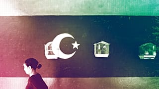 A young Libyan girls walks by pet birds in cages hanging from a wall painted with the rebel flag in the rebel-held Benghazi, July 2011