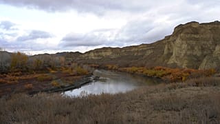 “Nature needs action, not just discussion,” says founder of IDEA international campaign